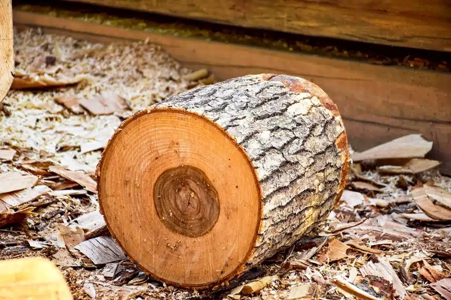 What Is Stump Grinding And Why Is It Important?